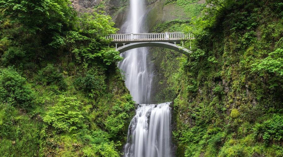 Lush green vegetation along a waterfall and stream creating a natural buffer zone
