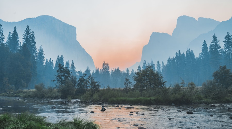 Aerial drone photograph showing waterfront property from above with lake