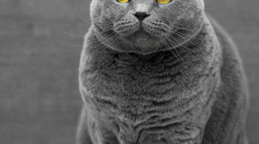 Revitalized waterfront park with walking paths, benches, and a view of the lake